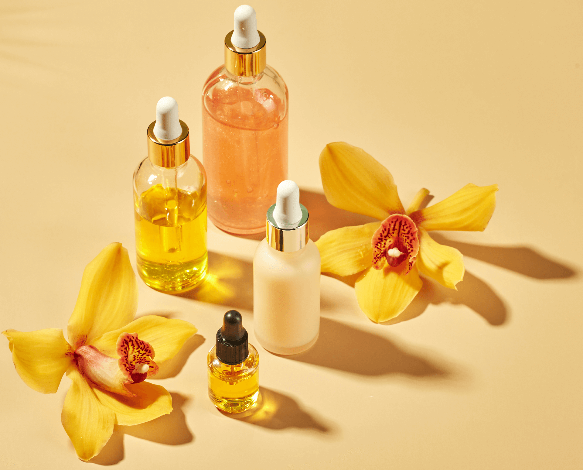 Top Shopify beauty stores of 2025 showcasing clean design, diverse products, and modern eCommerce branding.